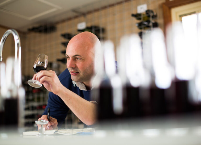 reviewing_wines
