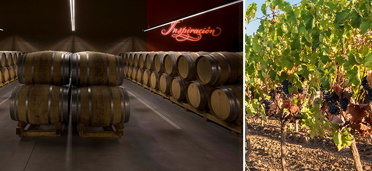 Die im Rioja typische Rebsorte Tempranillo darf im Holzfass reifen