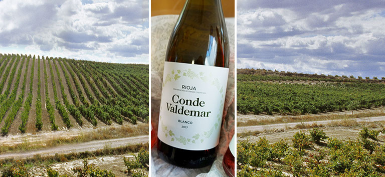 Wachsende Weißweinproduktion im Rioja - Conde Valdemar Blanco