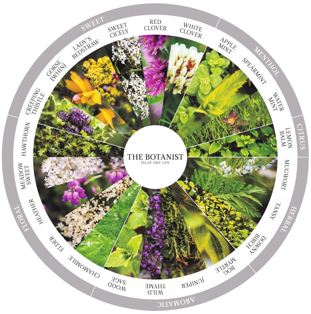 Die 22 Botanicals im The Botanist Gin