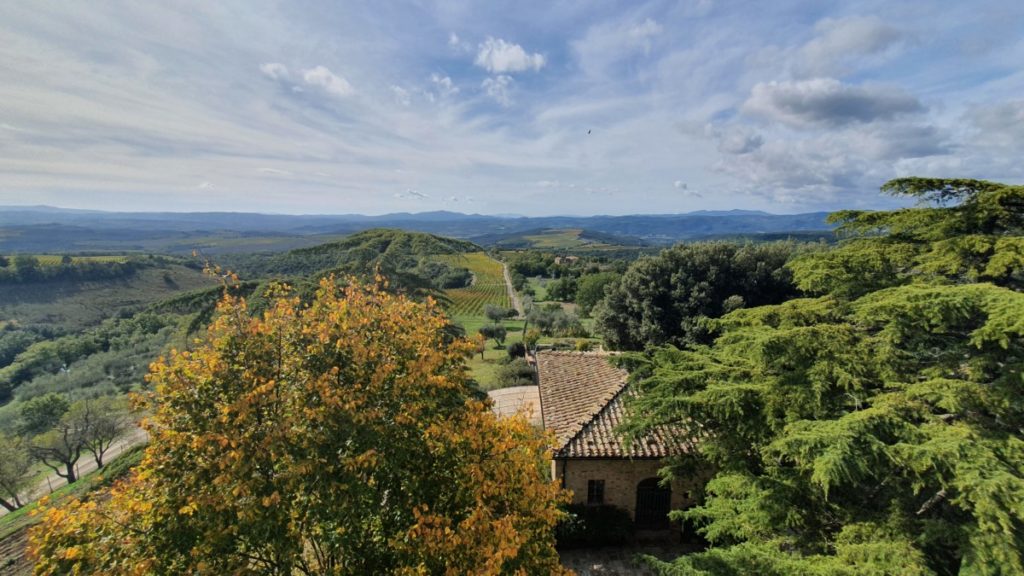Blick über die Weinberge von Castel Giocondo