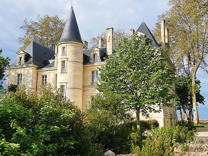 Schönes Château im Bordeaux hinter Bäumen versteckt