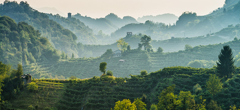 Herkunft des DOCG Prosecco von Ruggeri