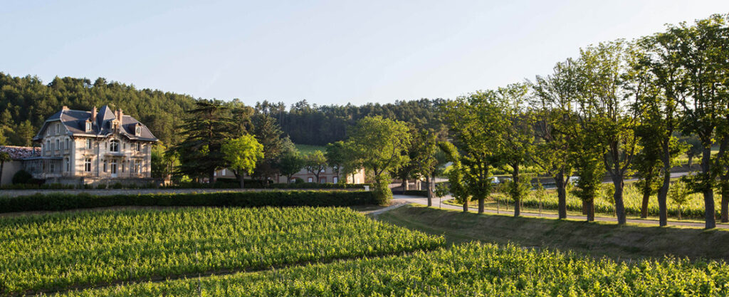 Domaine de Baronarques in den Weinbergen von Limoux
