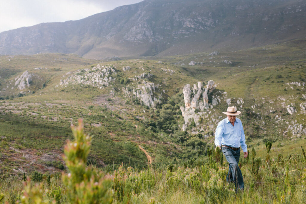 Paul Clüver spaziert durch die schroffe Landschaft von Renosterveld.