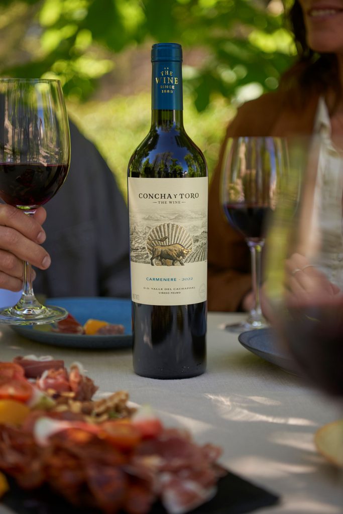Eine Flasche Concha y Toro »The Wine« auf sommerlichem Gartentisch.