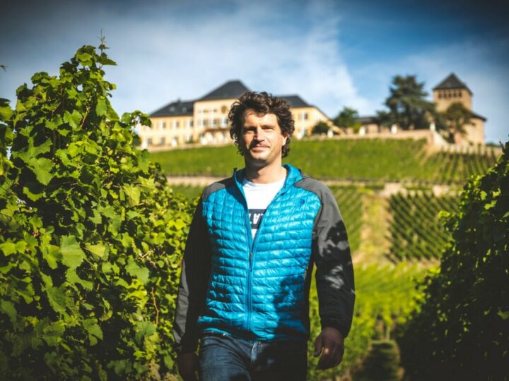 Winzer Michael Trenz spaziert durch den Weinberg des Weinguts Trenz.